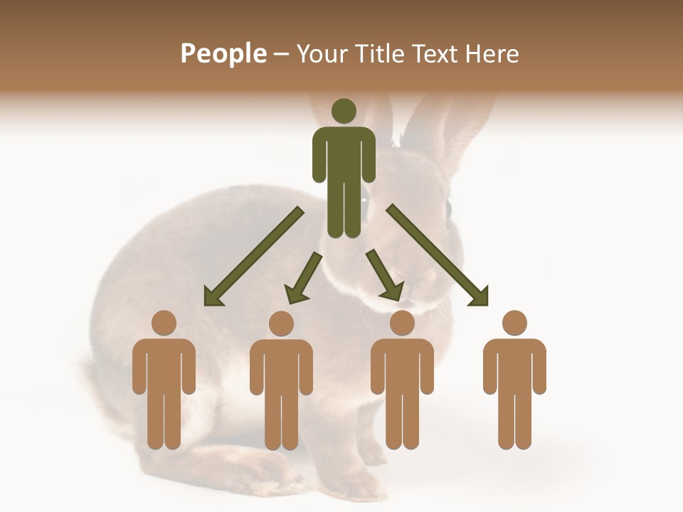 Whiskers Animal Rabbit PowerPoint Template