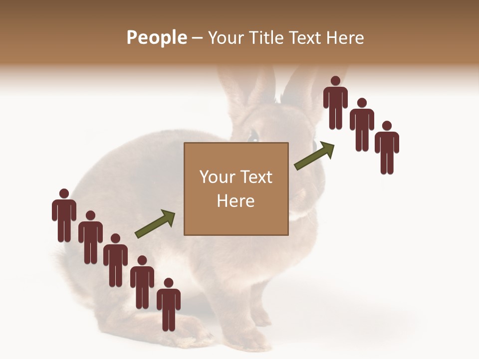 Whiskers Animal Rabbit PowerPoint Template