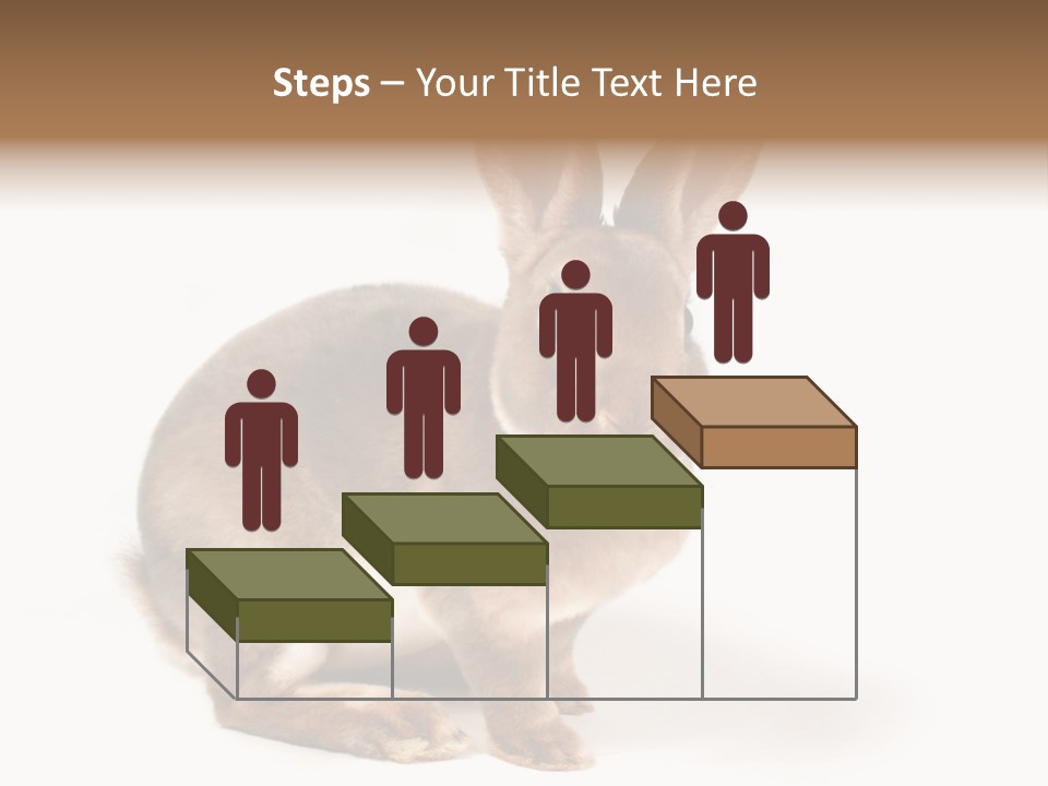 Whiskers Animal Rabbit PowerPoint Template