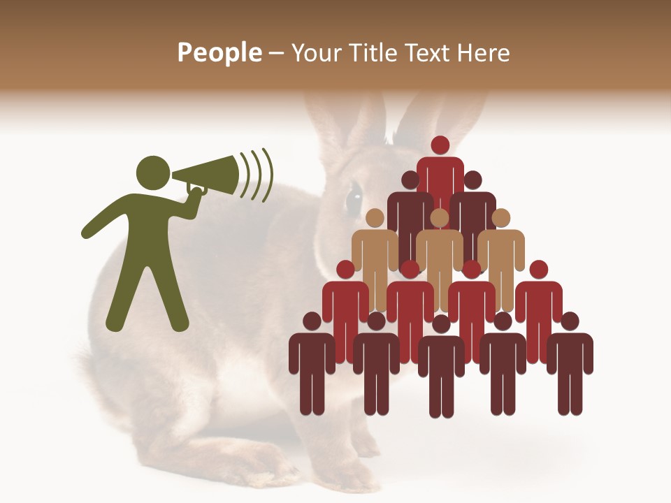 Whiskers Animal Rabbit PowerPoint Template