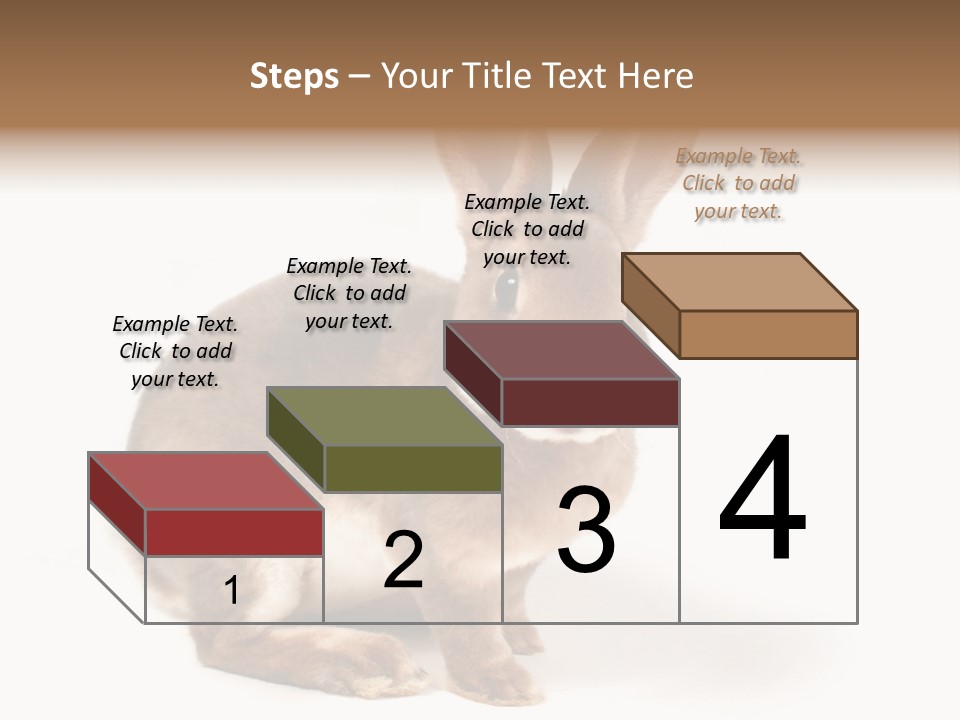 Whiskers Animal Rabbit PowerPoint Template