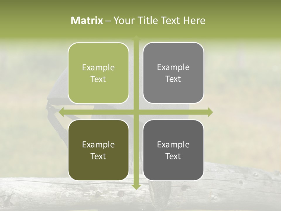 Silk Trainer Chinstrap PowerPoint Template