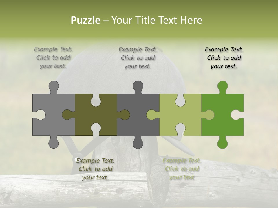 Silk Trainer Chinstrap PowerPoint Template