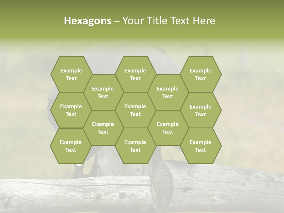 Silk Trainer Chinstrap PowerPoint Template