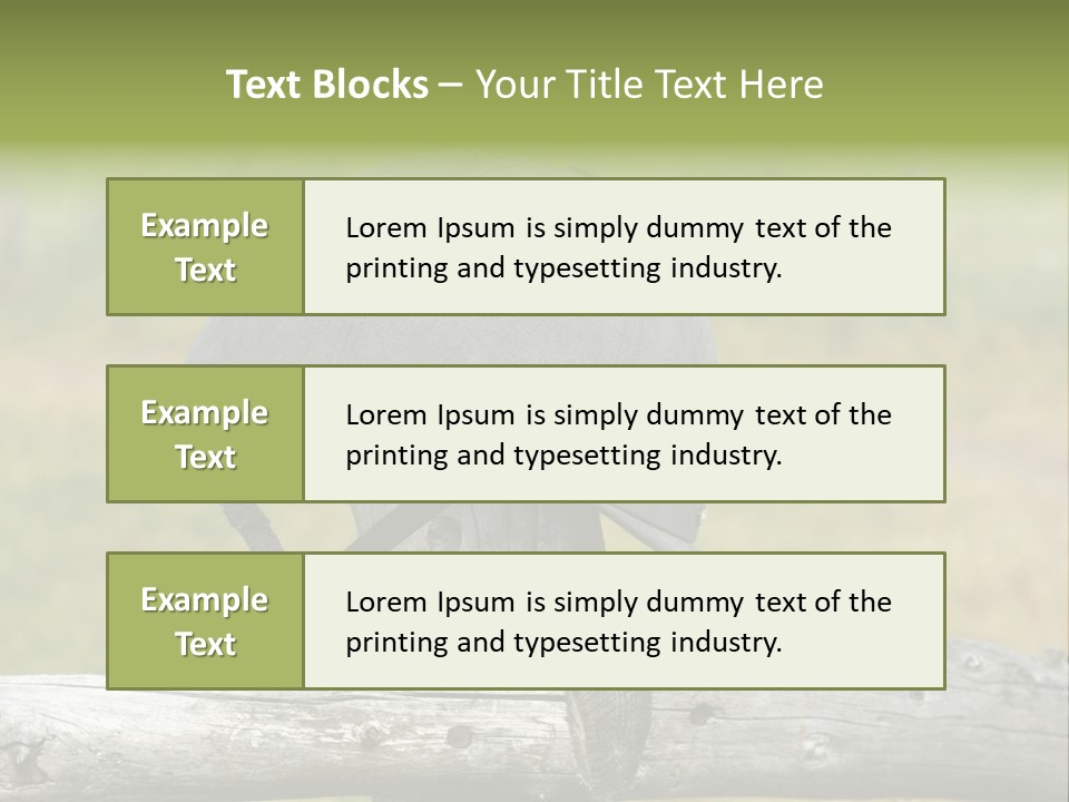 Silk Trainer Chinstrap PowerPoint Template