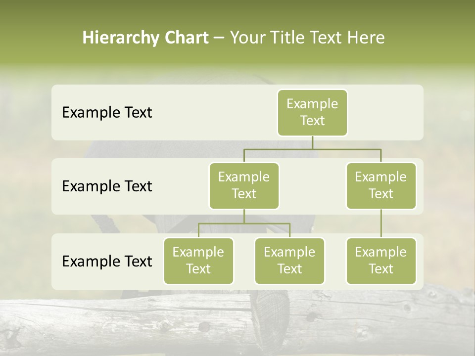 Silk Trainer Chinstrap PowerPoint Template