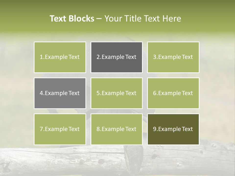 Silk Trainer Chinstrap PowerPoint Template