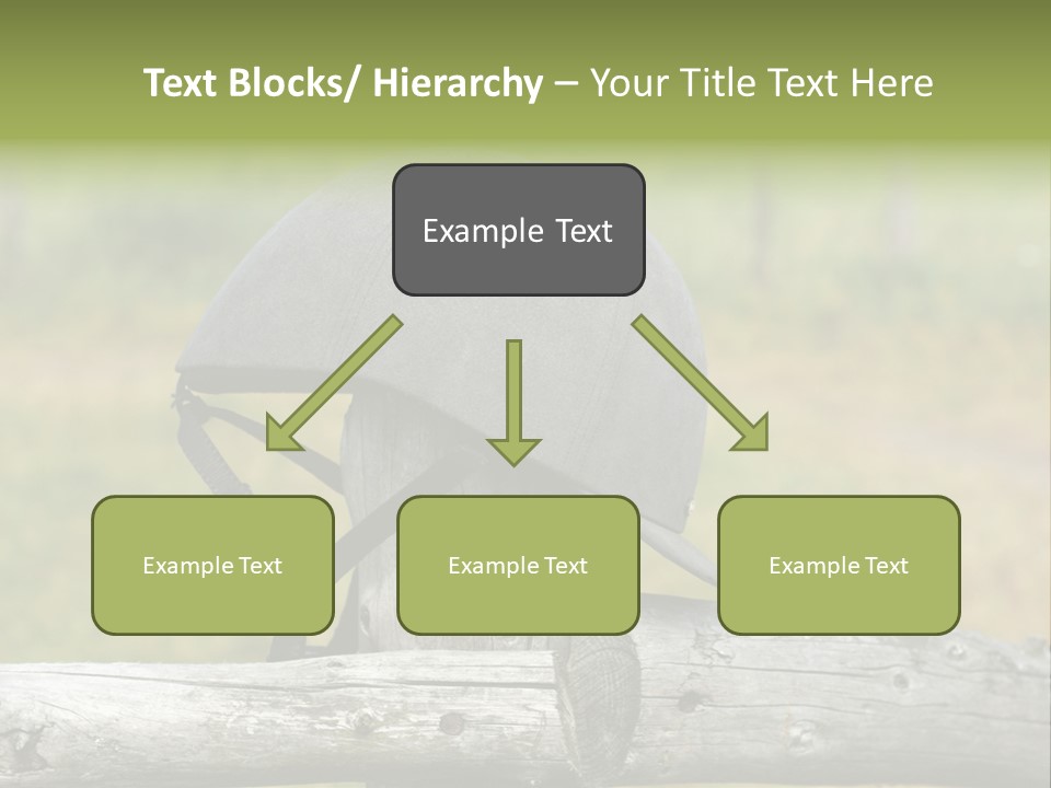 Silk Trainer Chinstrap PowerPoint Template
