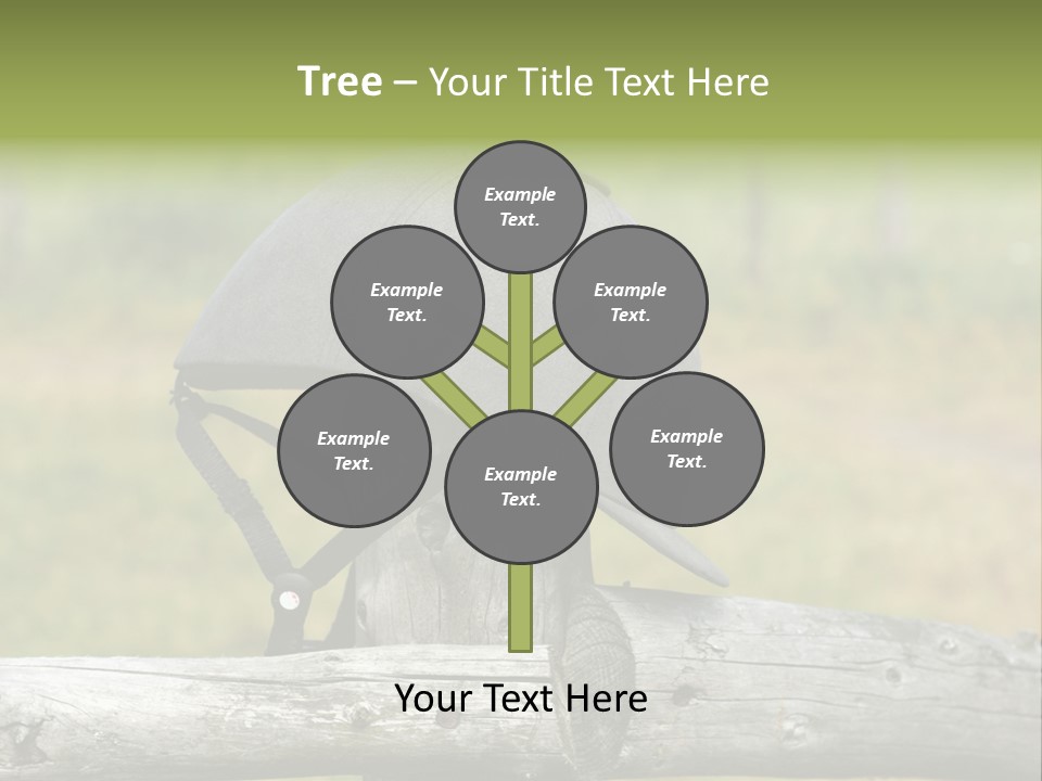 Silk Trainer Chinstrap PowerPoint Template