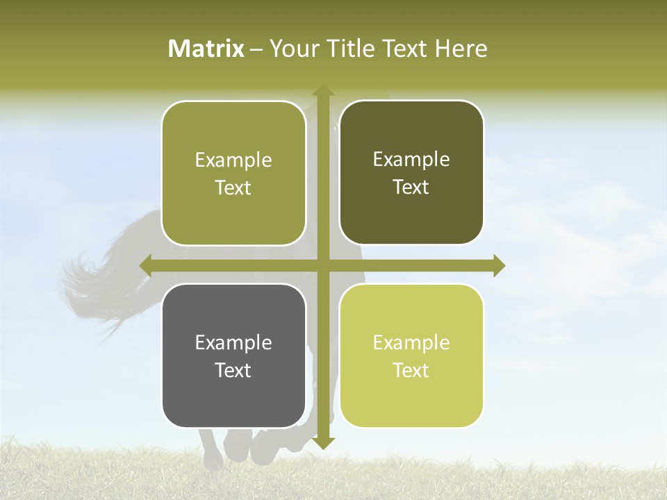 Event Fast Horse Horse PowerPoint Template