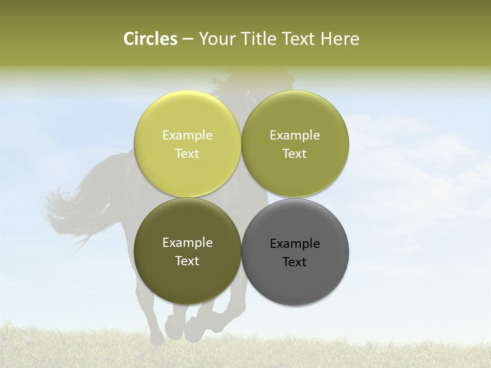 Event Fast Horse Horse PowerPoint Template