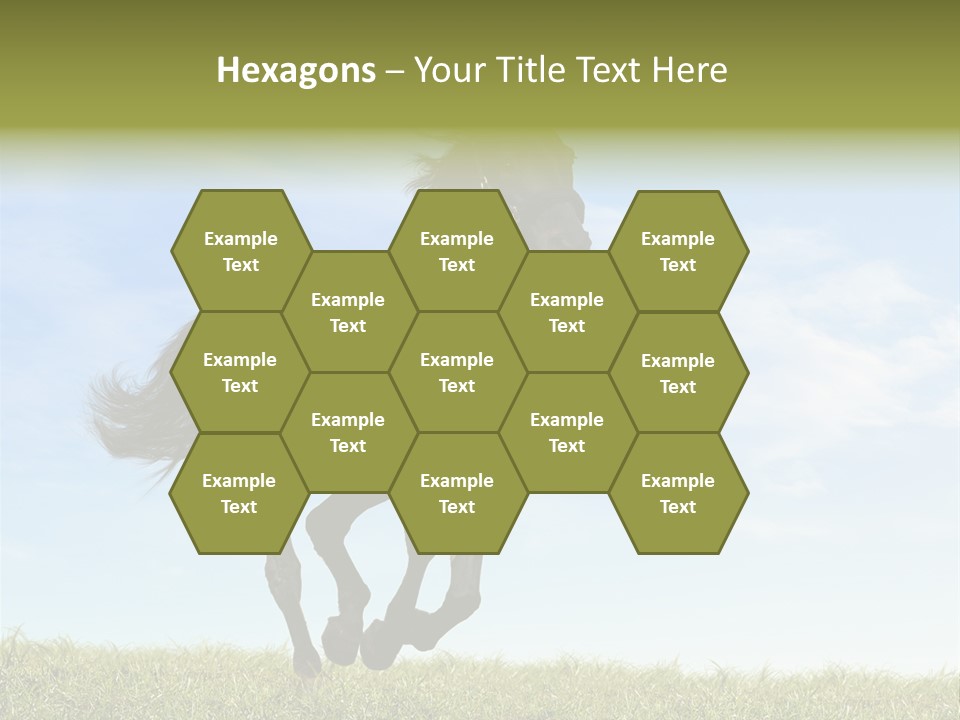 Event Fast Horse Horse PowerPoint Template