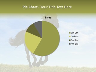 Event Fast Horse Horse PowerPoint Template