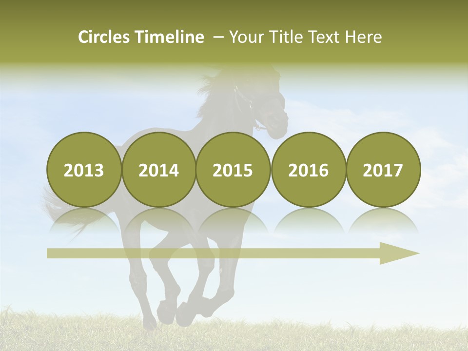 Event Fast Horse Horse PowerPoint Template