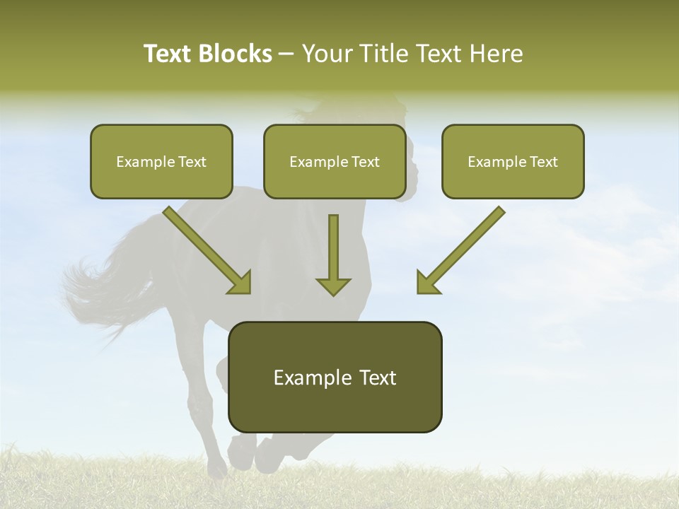 Event Fast Horse Horse PowerPoint Template