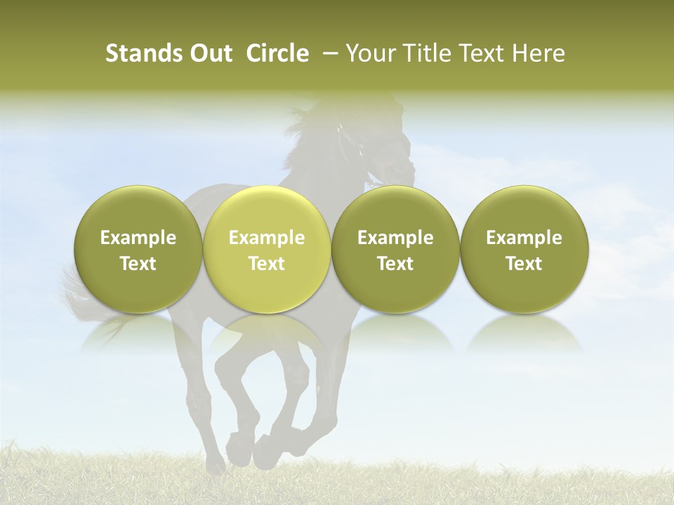 Event Fast Horse Horse PowerPoint Template