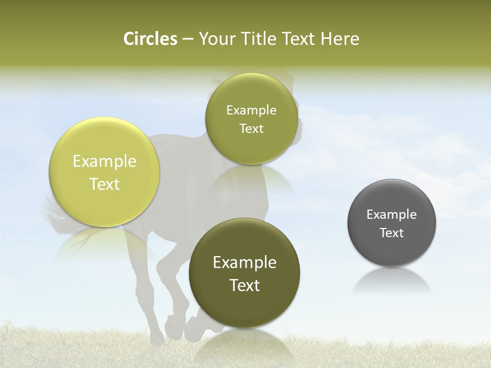 Event Fast Horse Horse PowerPoint Template