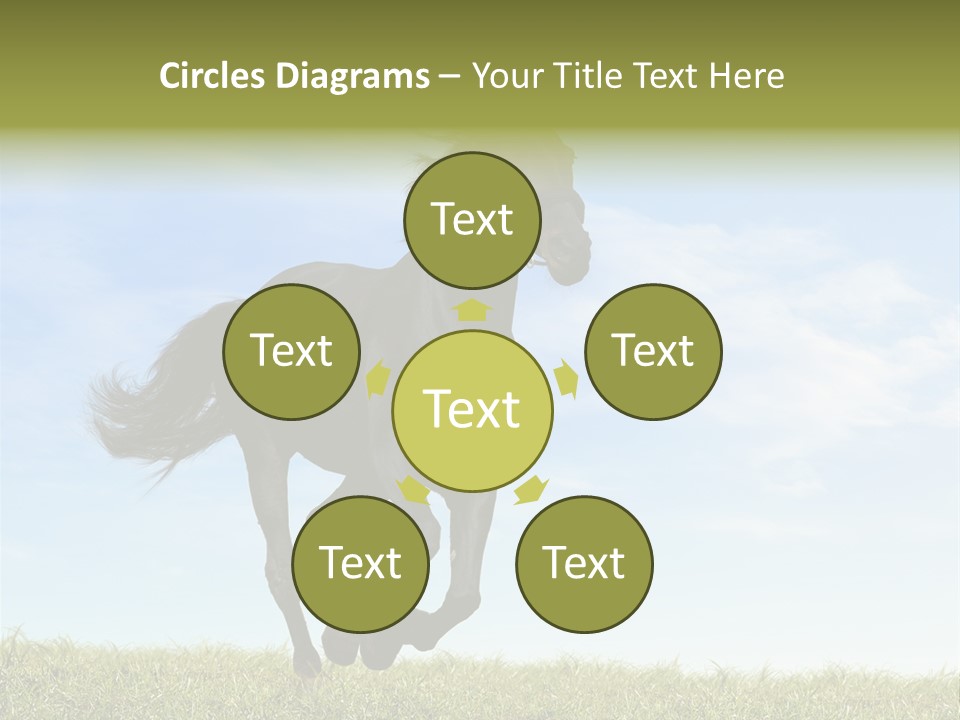 Event Fast Horse Horse PowerPoint Template