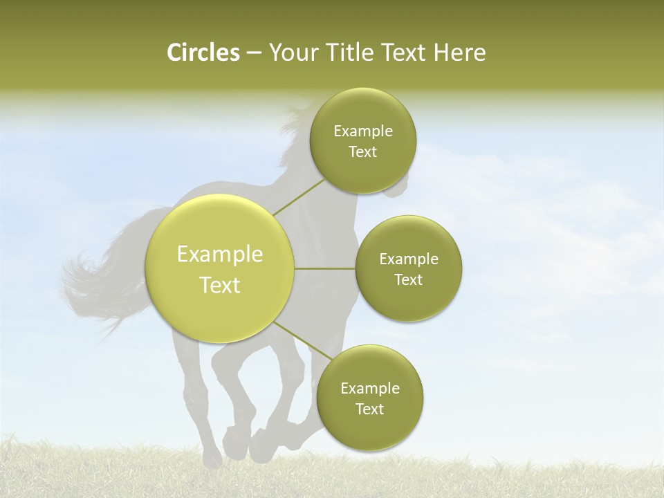 Event Fast Horse Horse PowerPoint Template