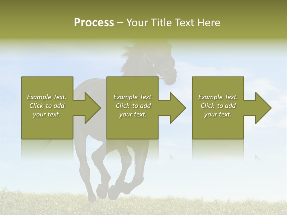 Event Fast Horse Horse PowerPoint Template