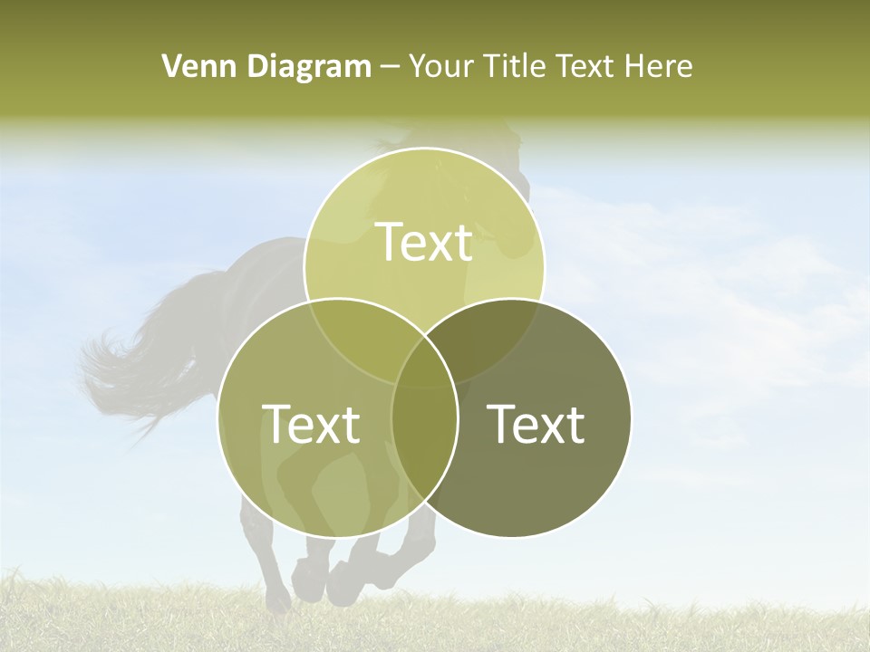 Event Fast Horse Horse PowerPoint Template