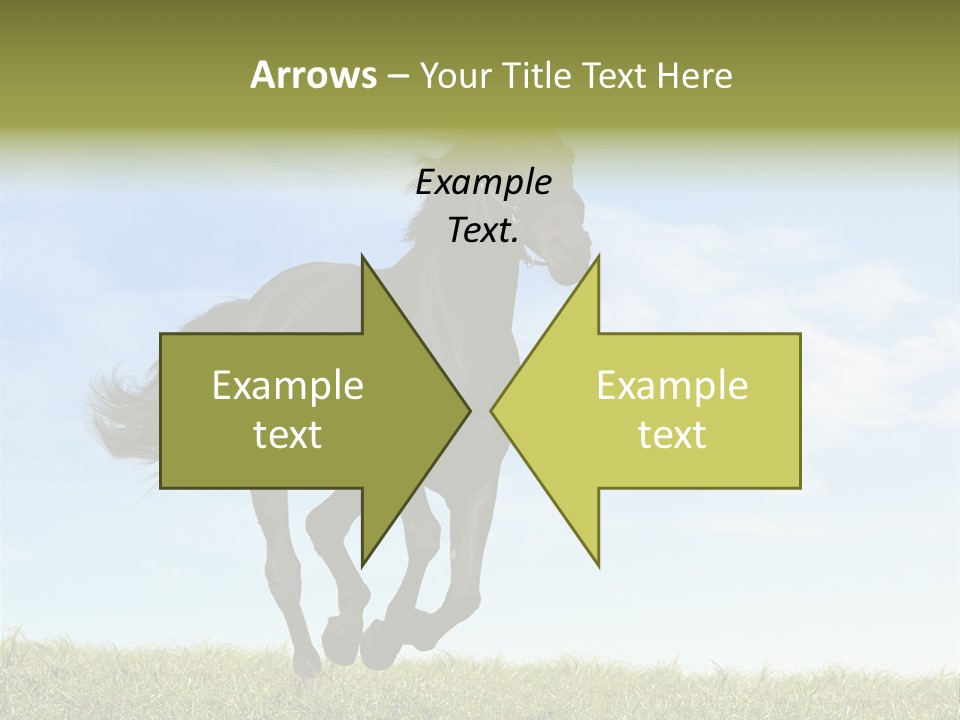 Event Fast Horse Horse PowerPoint Template