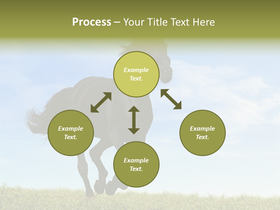 Event Fast Horse Horse PowerPoint Template