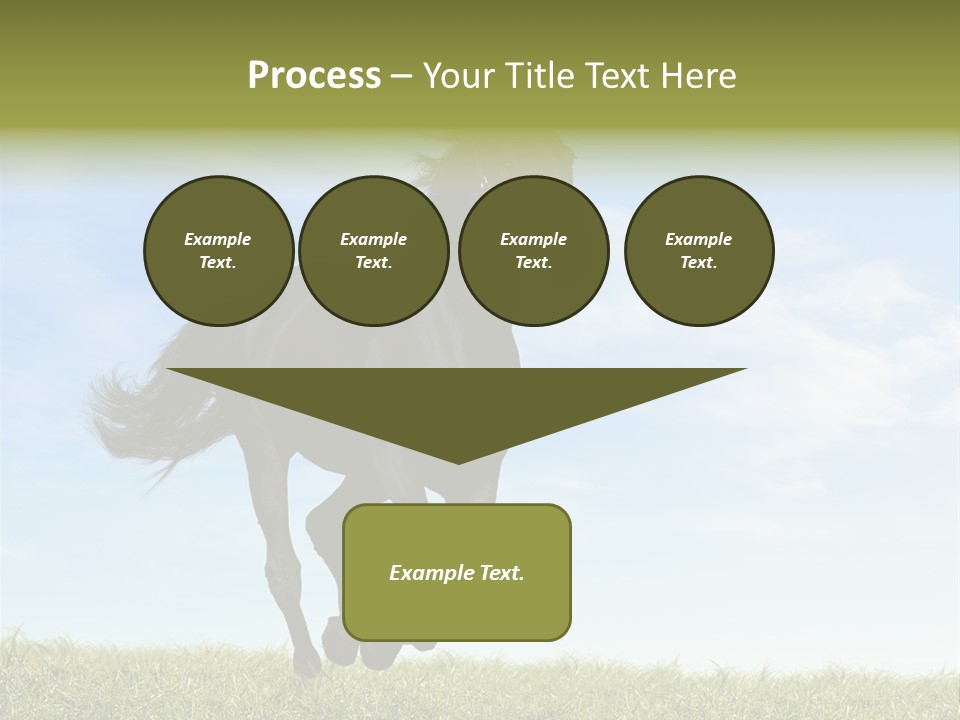 Event Fast Horse Horse PowerPoint Template