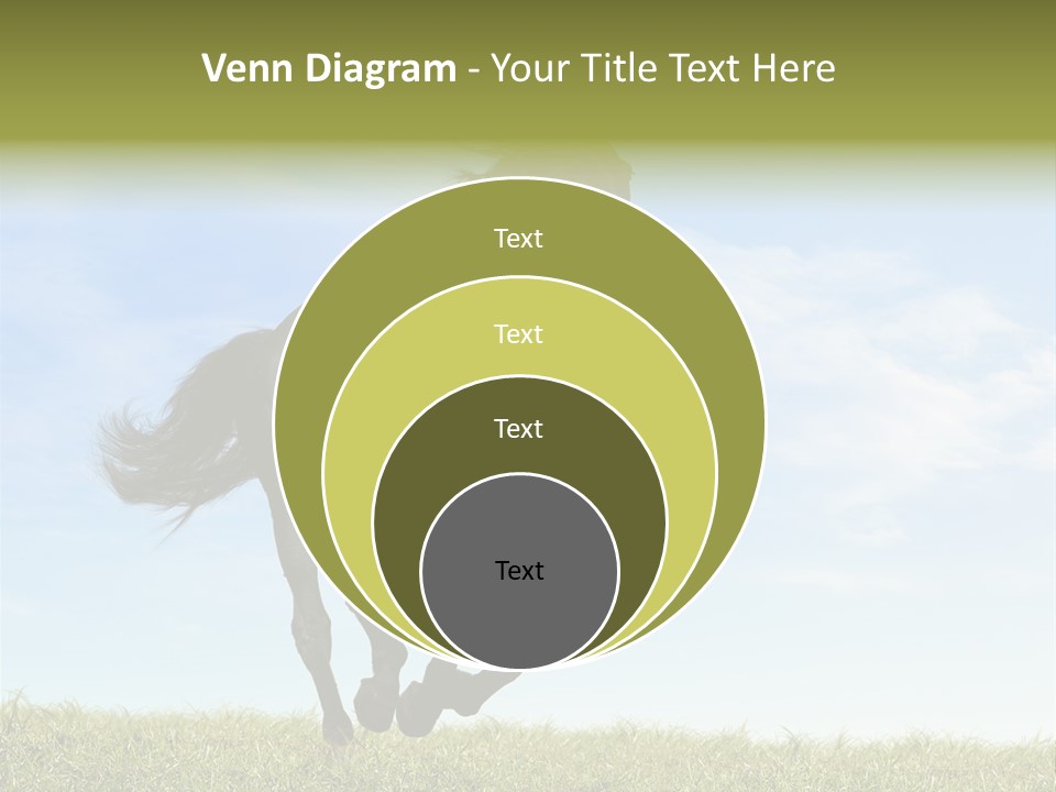 Event Fast Horse Horse PowerPoint Template