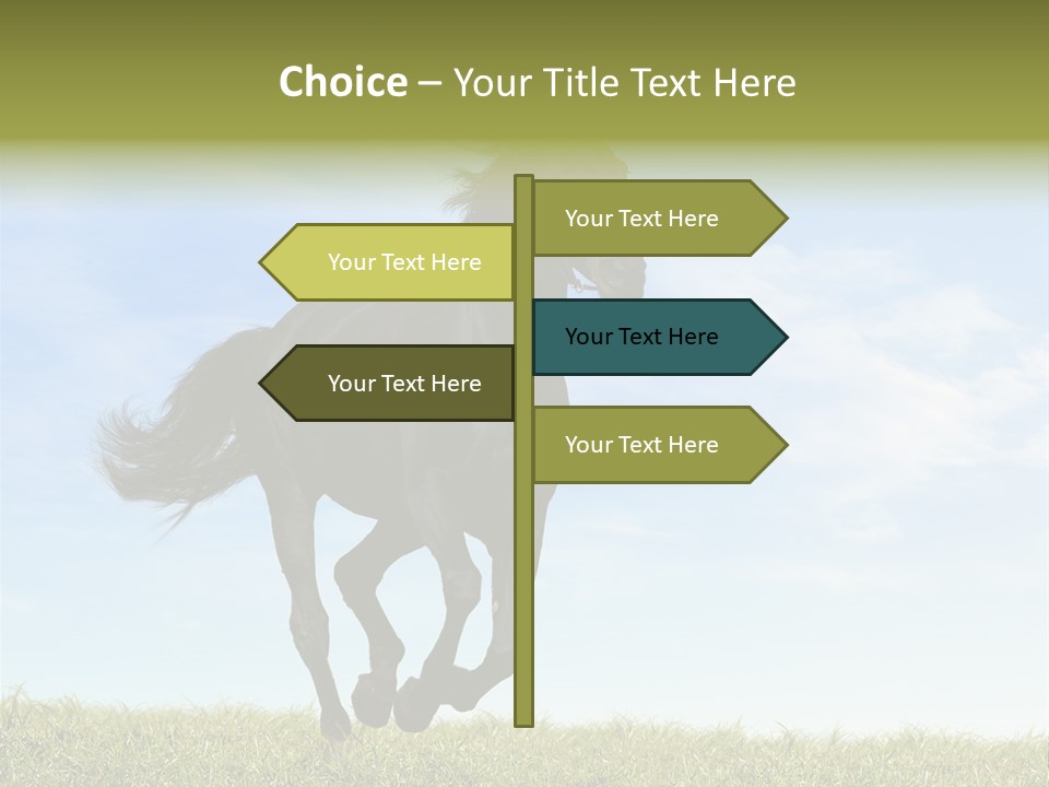 Event Fast Horse Horse PowerPoint Template