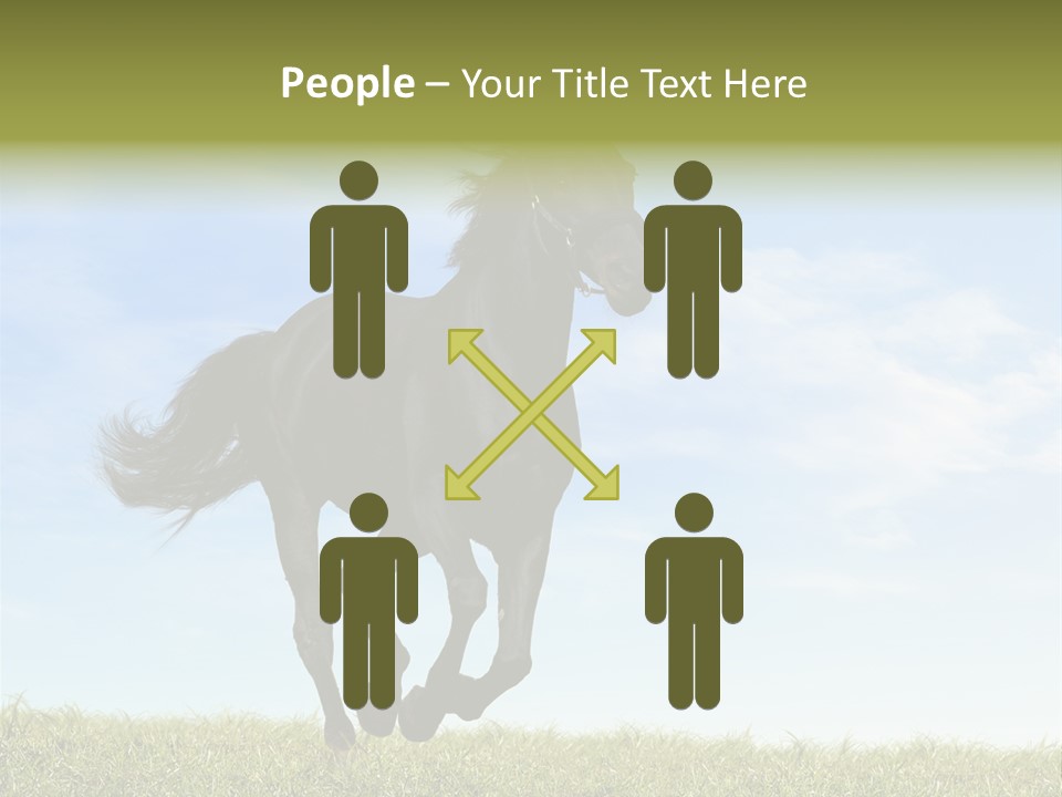 Event Fast Horse Horse PowerPoint Template