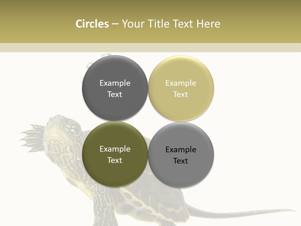 Fluid Light Fin PowerPoint Template