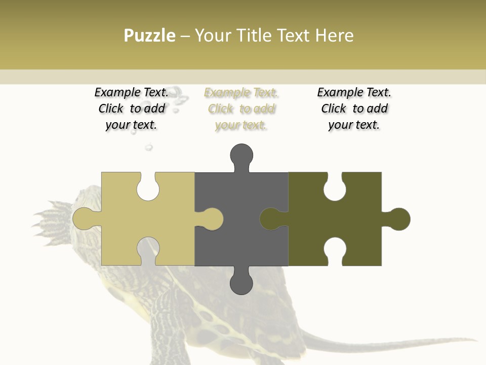 Fluid Light Fin PowerPoint Template