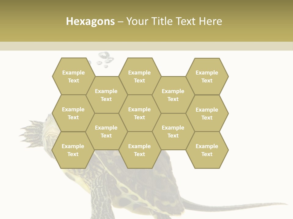 Fluid Light Fin PowerPoint Template