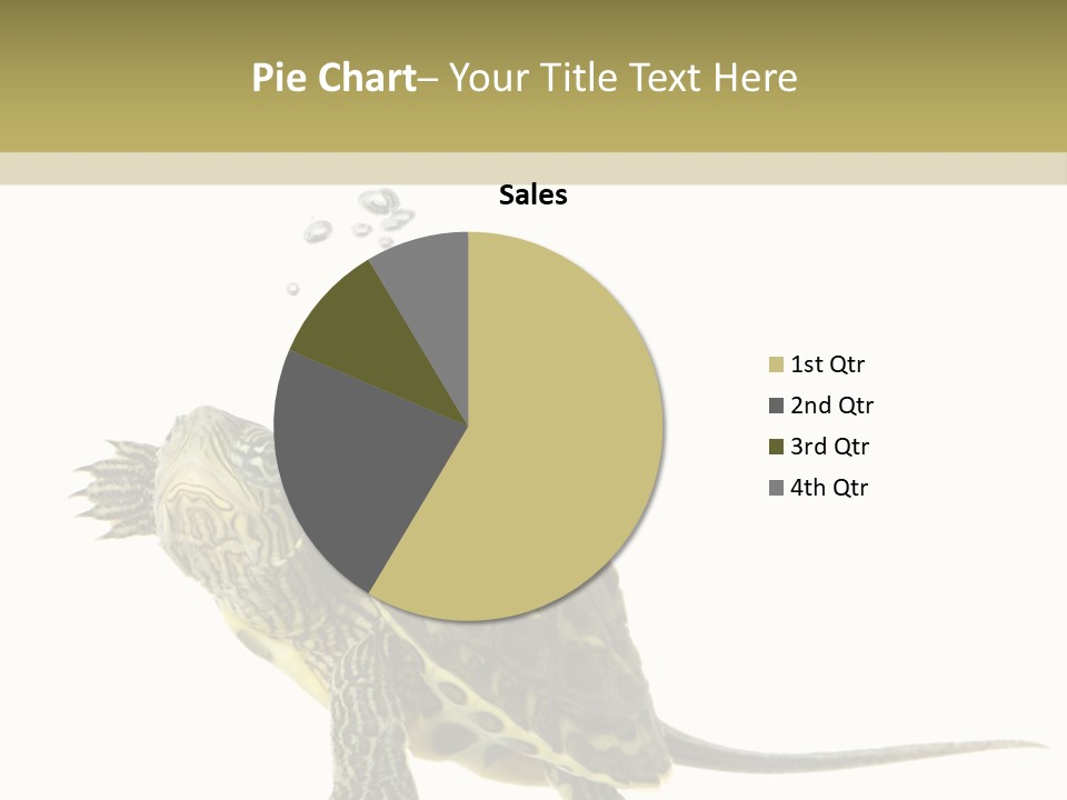 Fluid Light Fin PowerPoint Template