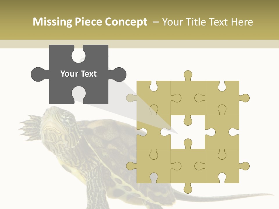 Fluid Light Fin PowerPoint Template