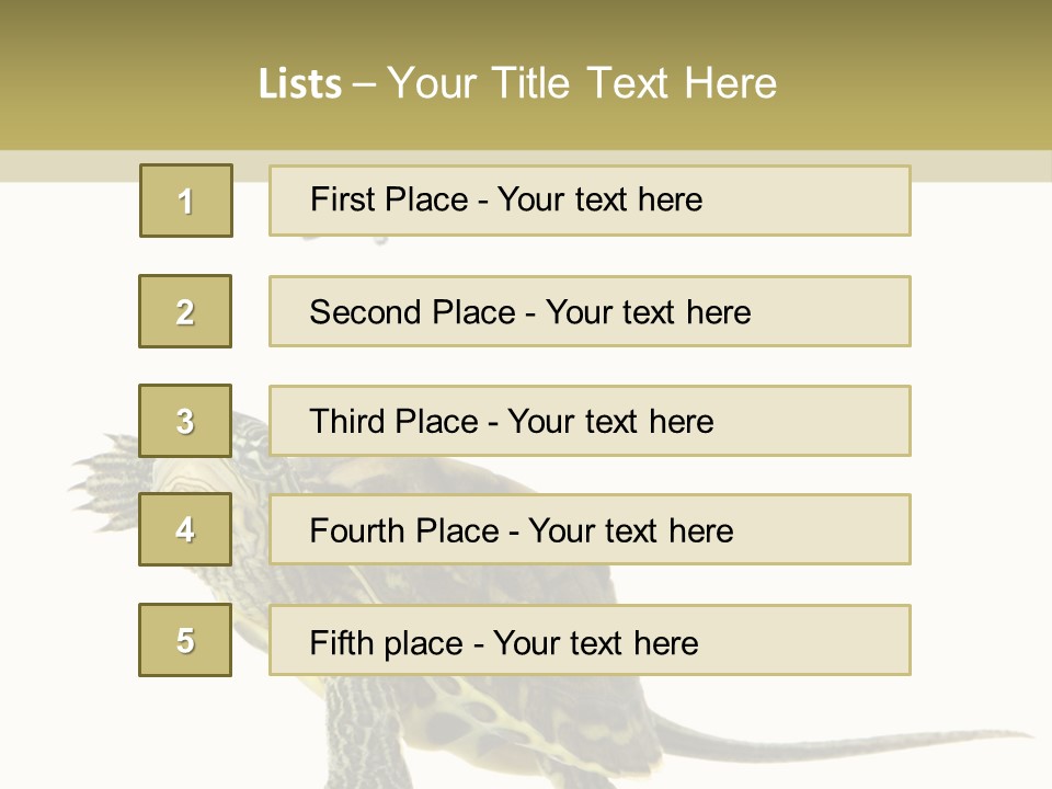 Fluid Light Fin PowerPoint Template