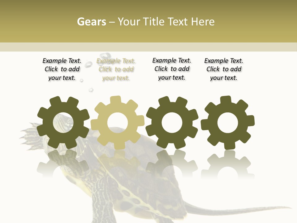 Fluid Light Fin PowerPoint Template