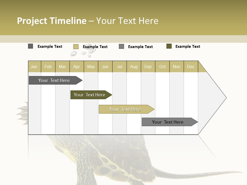 Fluid Light Fin PowerPoint Template