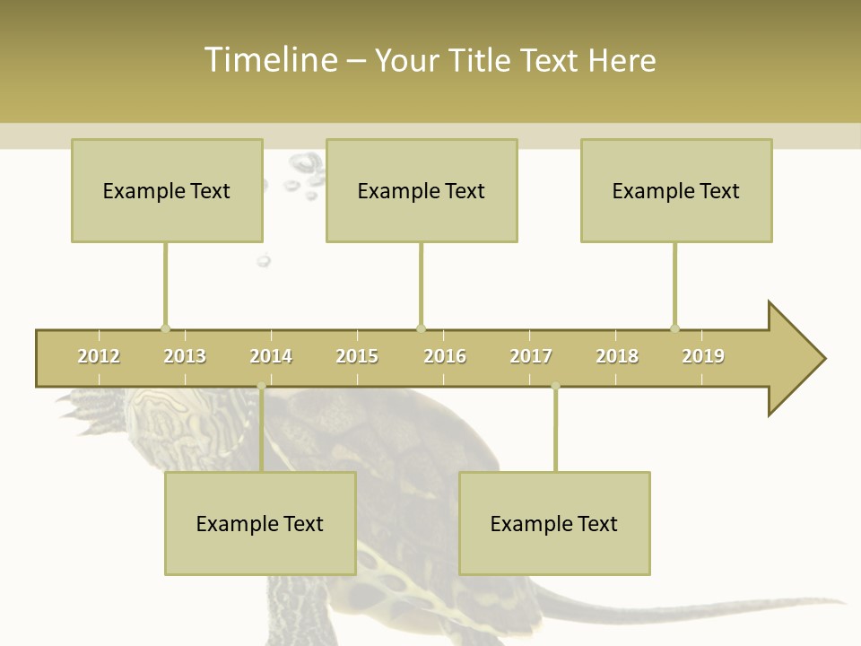 Fluid Light Fin PowerPoint Template
