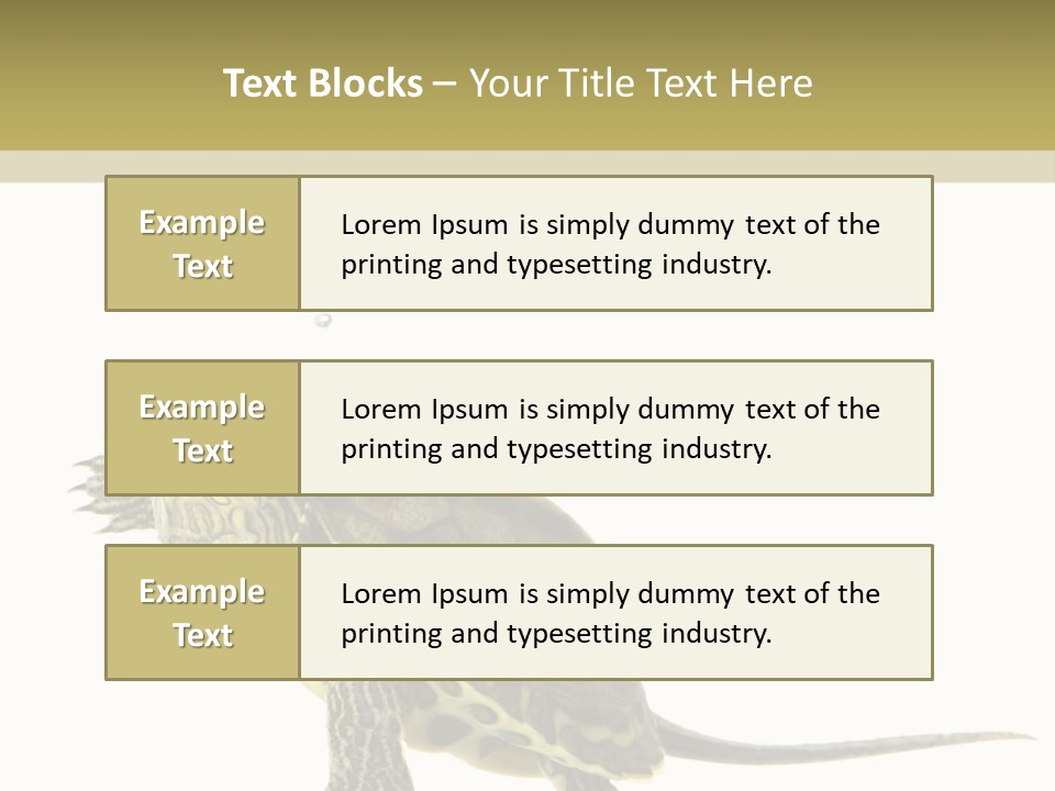 Fluid Light Fin PowerPoint Template