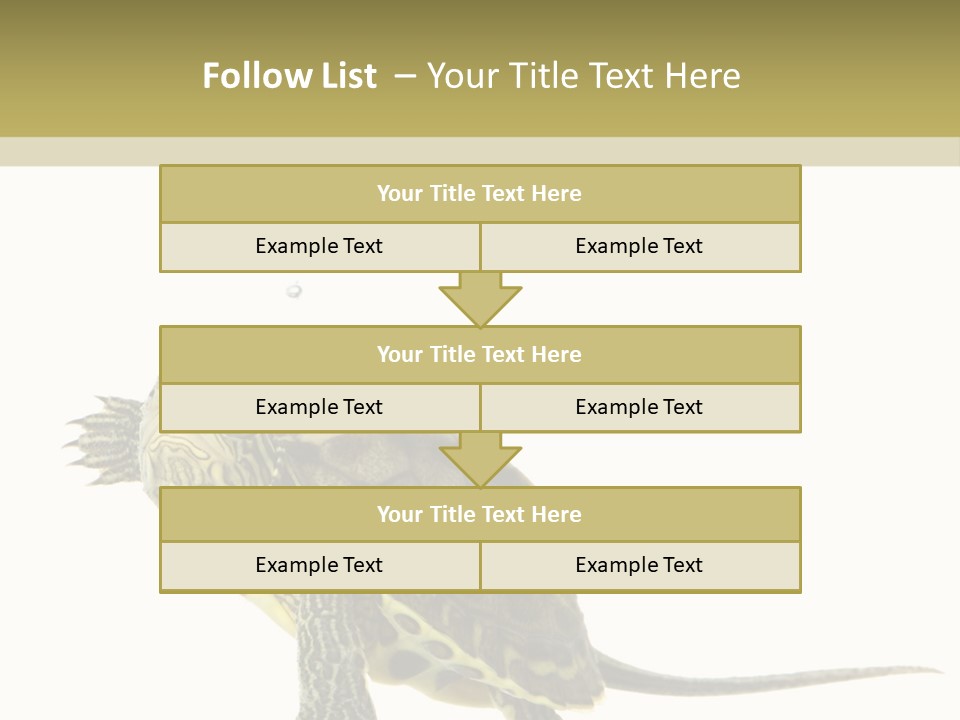 Fluid Light Fin PowerPoint Template