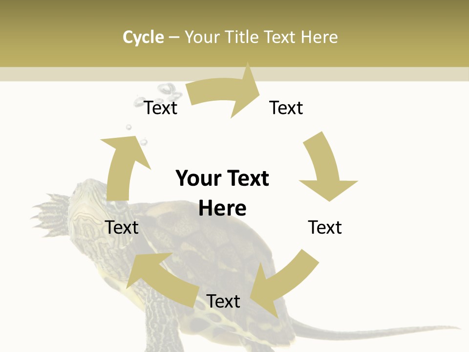 Fluid Light Fin PowerPoint Template