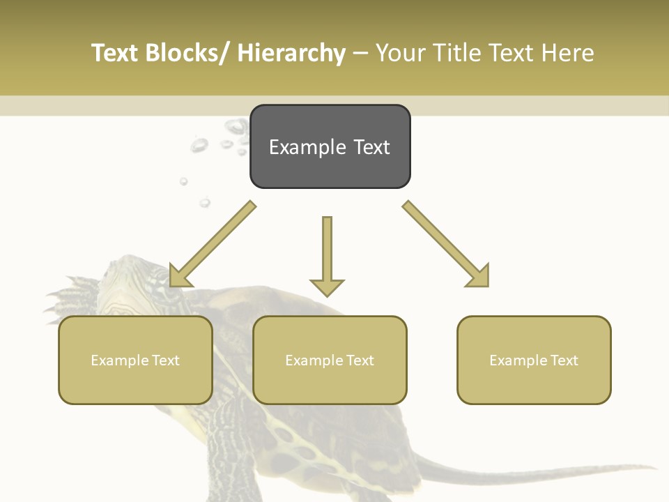 Fluid Light Fin PowerPoint Template