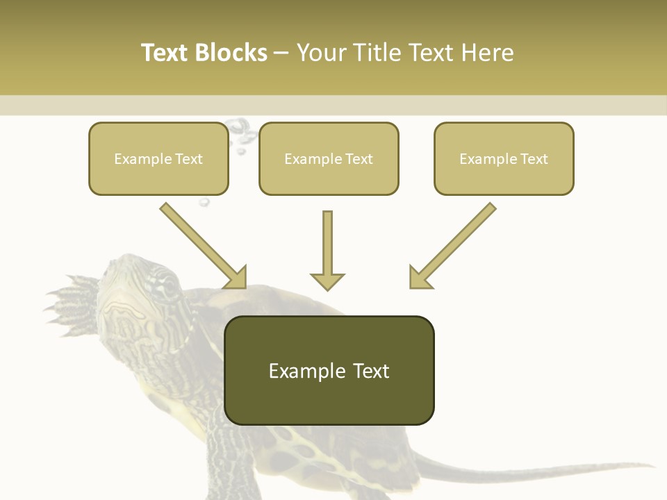 Fluid Light Fin PowerPoint Template