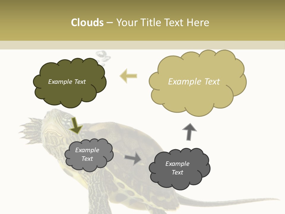 Fluid Light Fin PowerPoint Template