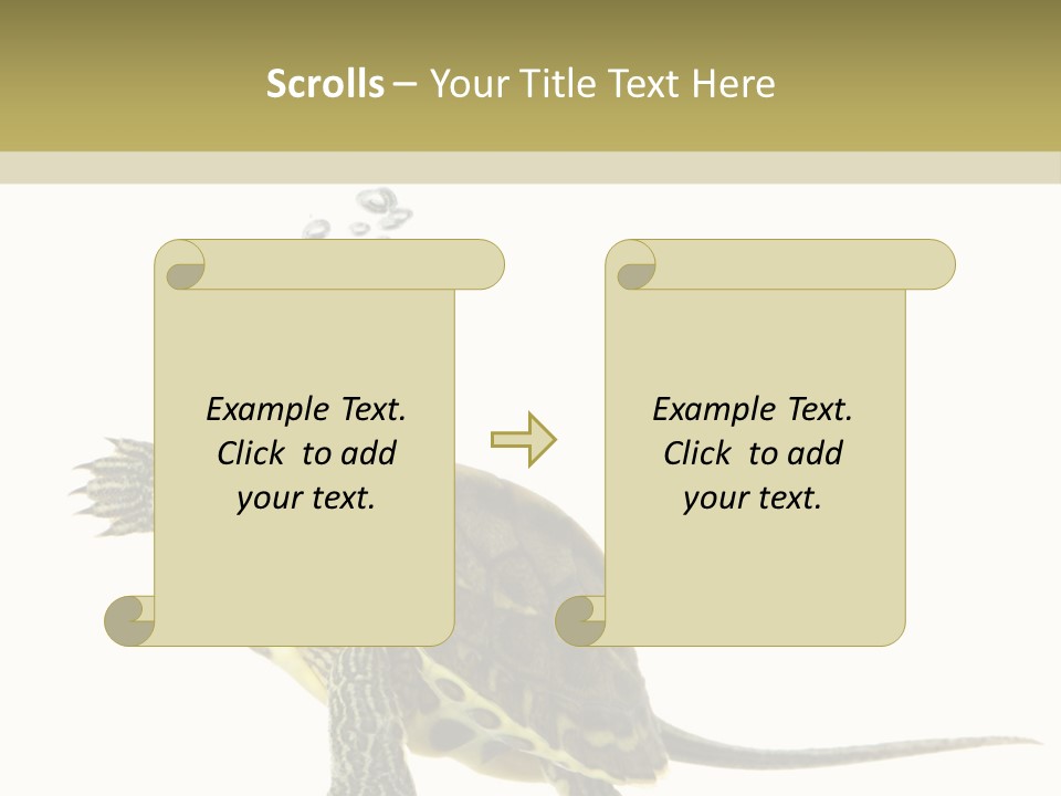Fluid Light Fin PowerPoint Template