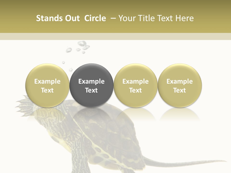 Fluid Light Fin PowerPoint Template