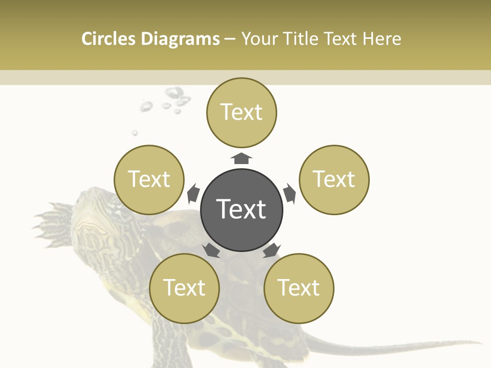 Fluid Light Fin PowerPoint Template