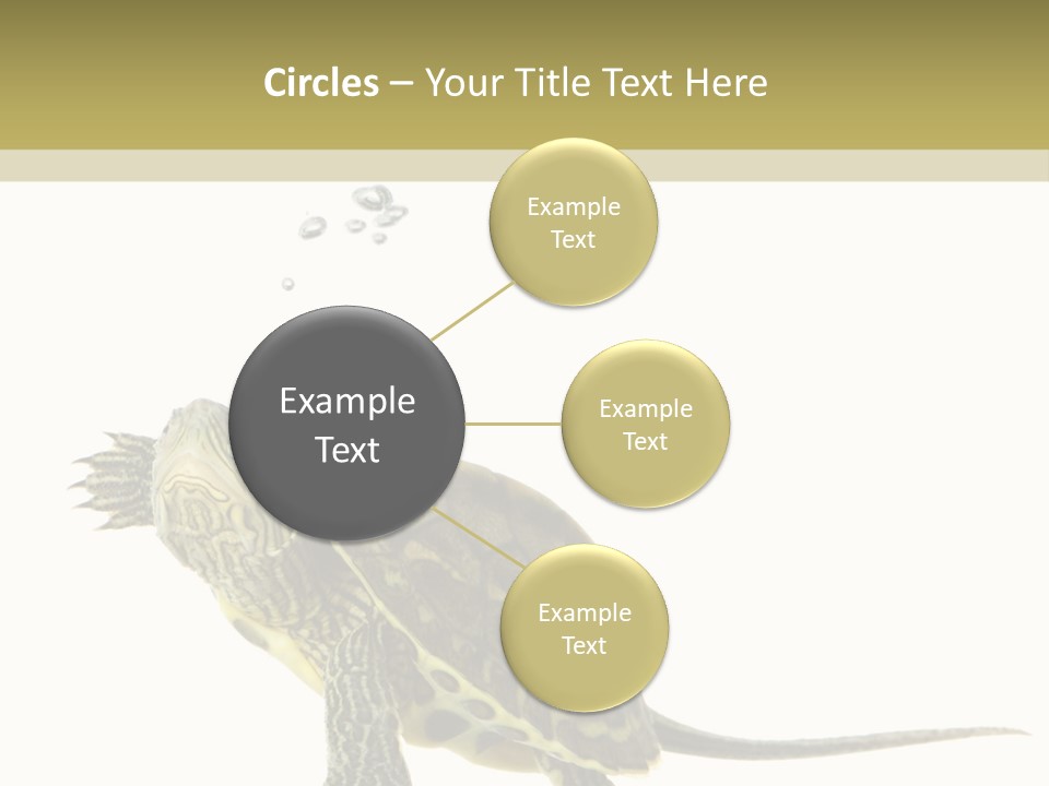 Fluid Light Fin PowerPoint Template